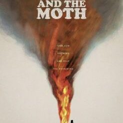 The Fire and the Moth Poster 246x300